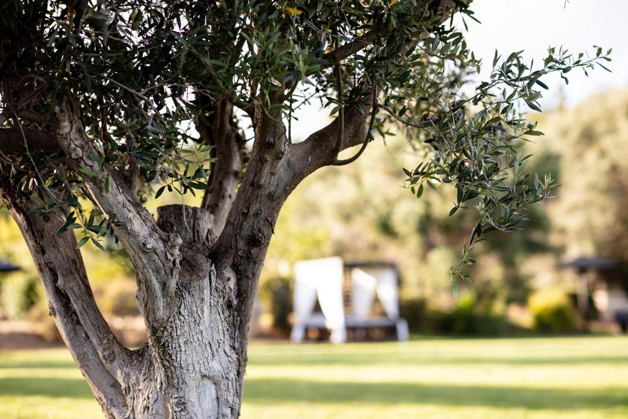 Vila Valverde Design Country Hotel Luz Exteriér fotografie